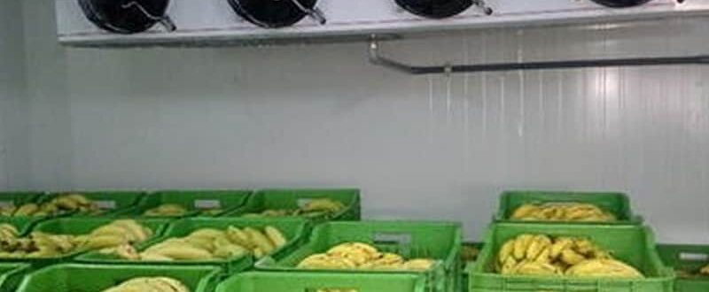 Proiectare si montaj instalaţie de copt banane (legume-fructe)