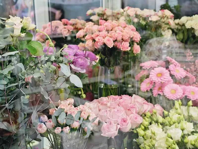 Depozite de legume si flori {{brizy_dc_image_alt entityId=